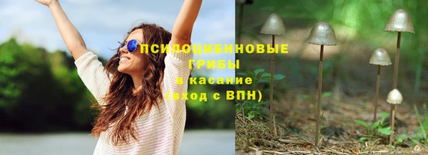 ECSTASY Алзамай
