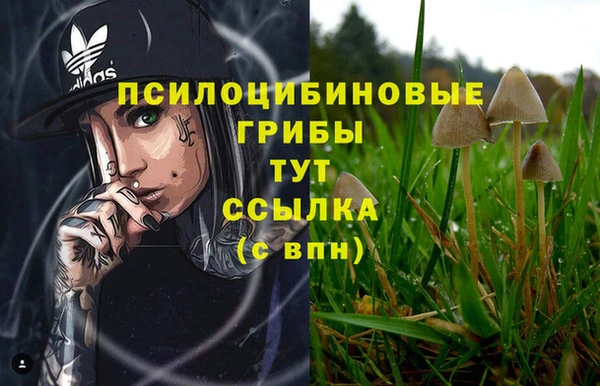 ECSTASY Алзамай