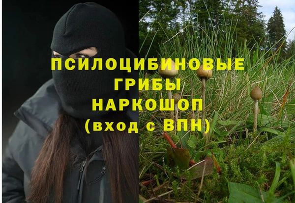 Альфа ПВП Тутаев